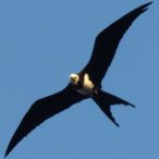 Ascension Island